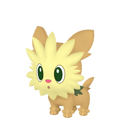 Lillipup Shiny