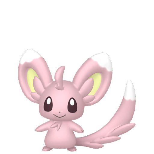 Minccino Shiny