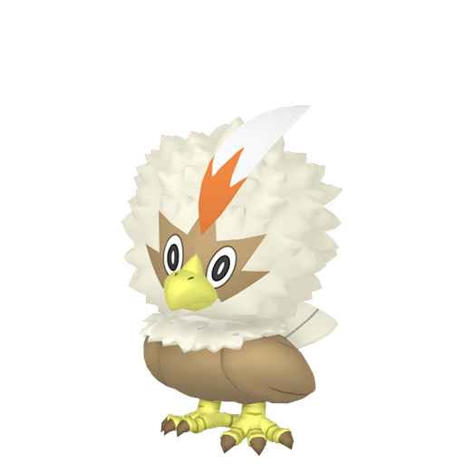 Rufflet Shiny
