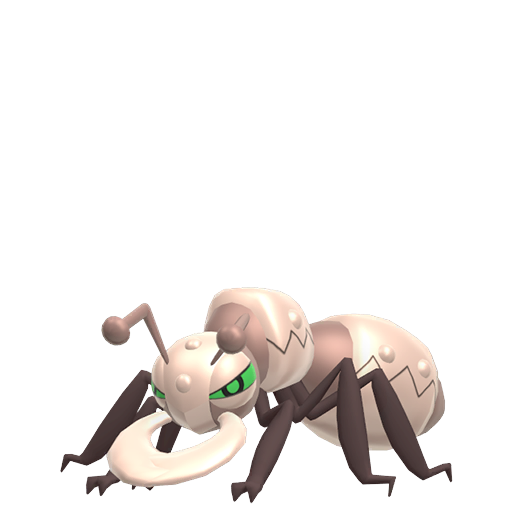 Durant Shiny