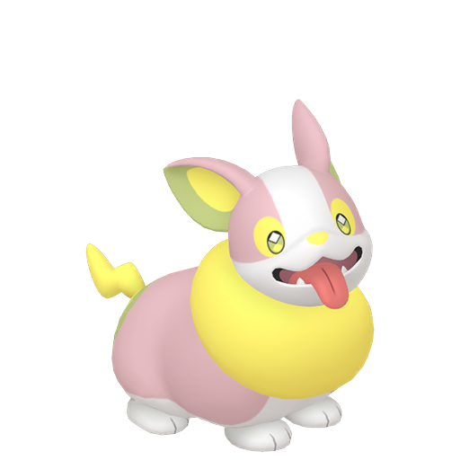 Yamper Shiny