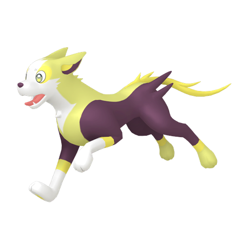 Boltund Shiny