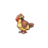 Pidgey native species sprite