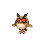 Hoothoot front_default