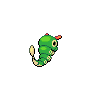 caterpie