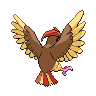 pidgeotto