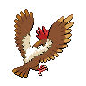 fearow