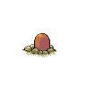 diglett