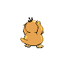 psyduck