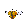 combee Back Female