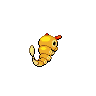 caterpie