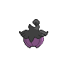 pumpkaboo large
