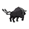 tauros paldea-combat-breed