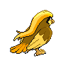 pidgeot