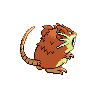 raticate