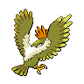 fearow