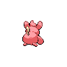 pawmi