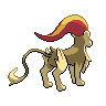 pyroar male