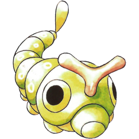 caterpie