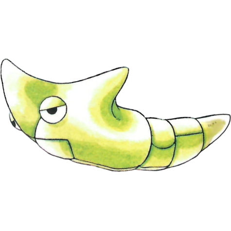 metapod