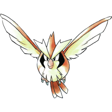 pidgey