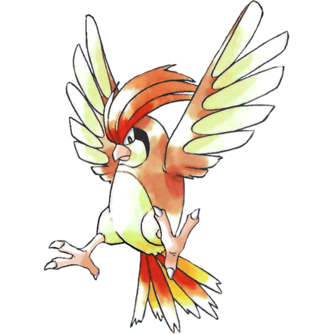 pidgeotto
