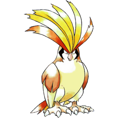 pidgeot