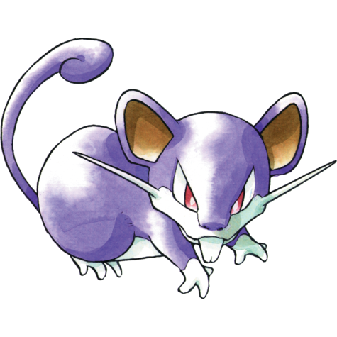 rattata