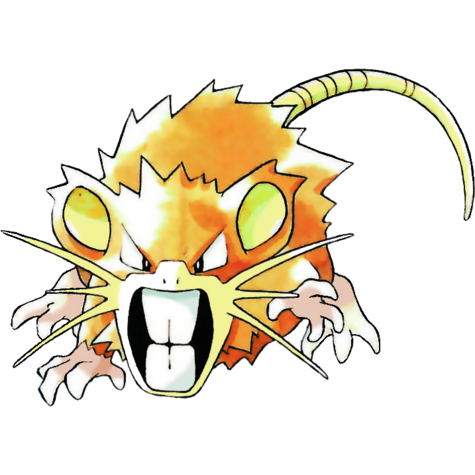 raticate