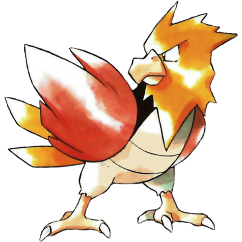 spearow