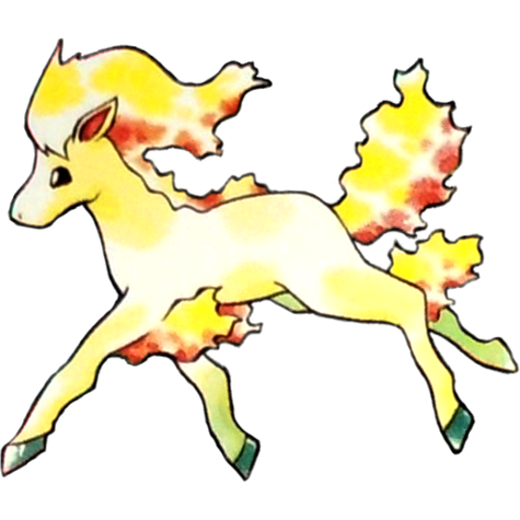 ponyta