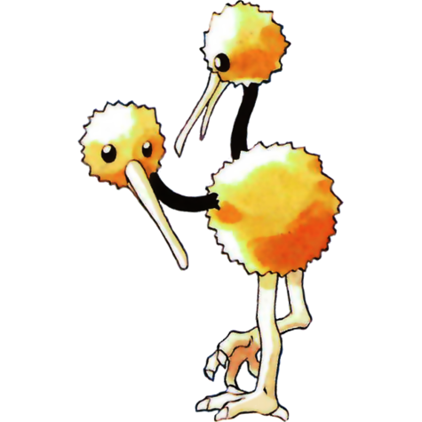 doduo
