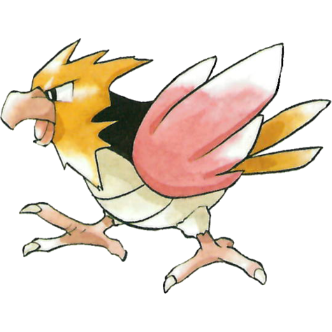 spearow
