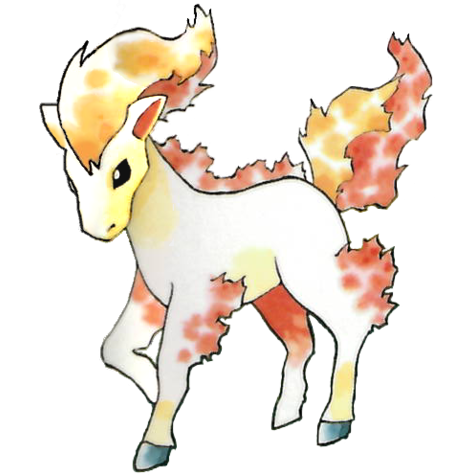 ponyta