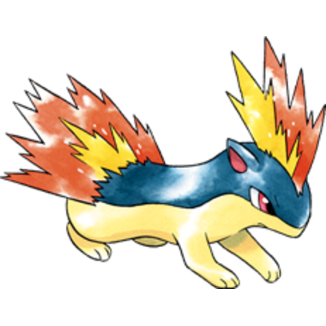quilava