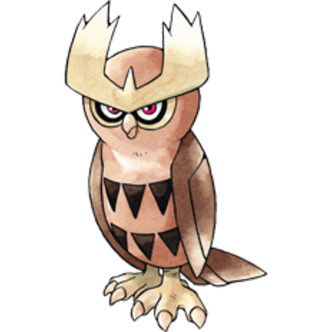 noctowl