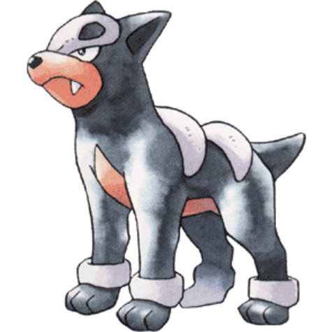 houndour