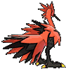 zapdos-galar Other showdown back default