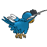 squawkabilly-blue-plumage Other showdown back default
