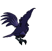 Corvaillus - Showdown dos