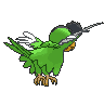 squawkabilly-green-plumage Other showdown back default