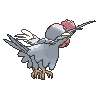 squawkabilly-white-plumage Other showdown back shiny