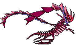 eternatus Other showdown back shiny