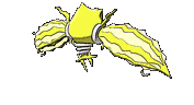 animated-pokemon-front
