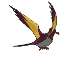 kilowattrel Other showdown back shiny