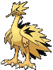 zapdos-galar Showdown Shiny