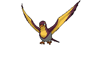 kilowattrel Showdown Shiny