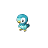 Piplup front_shiny