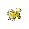 Growlithe front_shiny