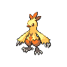 Combusken front_shiny_female